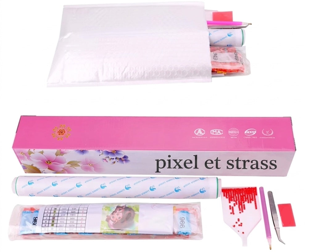 Kit de diamond painting personnalisé Pixel & Strass reçu : boîte de rangement, toile roulée, légende des couleurs, stylo applicateur, entonnoir et pince